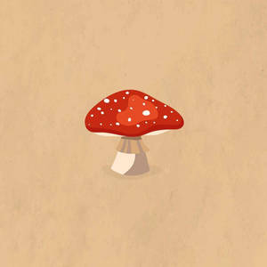Rødhat-svamp æstetik — Svampeæstetik Wallpapers