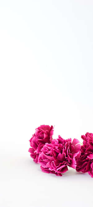 1080x2400 — Huawei Pura 80 Pro Wallpapers