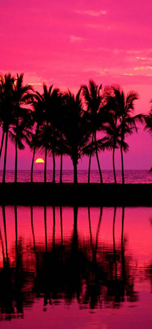 Samsung Galaxy S22 strand solnedgang tapet — iPhone Wallpapers