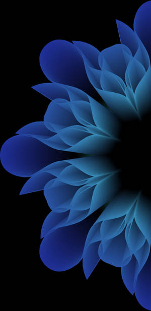 Samsung Note 20 Blomst — Samsung galaxy Wallpapers