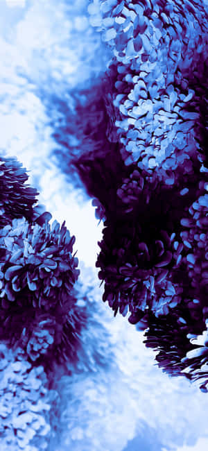 Samsung baggrund — Xperia 10 Wallpapers