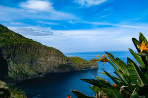 Santana fortress havudsigt tapet — Havudsigt Wallpapers