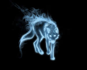 Cool ulv billeder — Ulv Wallpapers