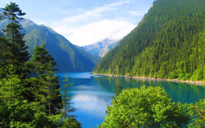 Smuk naturbaggrund