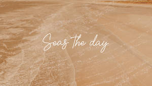 Seas The Day Cream Æstetik
