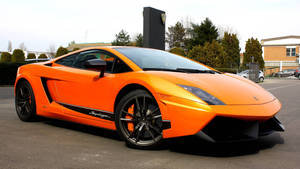 Sej bil Lamborghini Gallardo baggrund — Biler Wallpapers