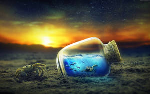 Sej skildpadde i flasken wallpaper — Cool skildpadde Wallpapers