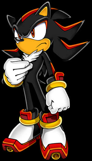 Shadow The Hedgehog Png, gennemsigtig Png