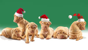 Sjov julemand sidder fast i skorstenen — Sjov jul Wallpapers