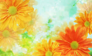 Skønheden af en blomstrende blomst