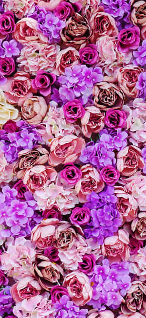 Lilla blomsterbilleder — Galaxy S25 Ultra Wallpapers