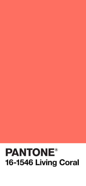Koralbaggrund — iPhone 15 Wallpapers