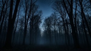 Silhuet af mørk skov i skumringen med tåge og stjerner. — Sort æstetisk GIF Wallpapers