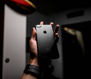 makro-fotografi af sort iPhone 7 Plus — iPhone 8 Wallpapers