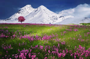 Afslappende baggrund — MacBook Air M2 Wallpapers