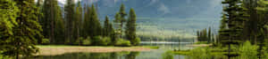4k Naturbaggrund — Vandfald Wallpapers