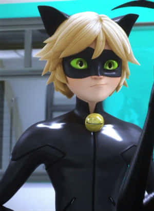 Cat Noir-billeder