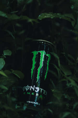 Slipp dyret løs med Monster Energy — Oppo Pad Wallpapers
