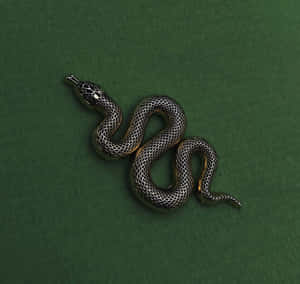 Slytherin æstetik billeder — Slytherin æstetik Wallpapers