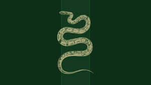 Slytherin æstetik billeder