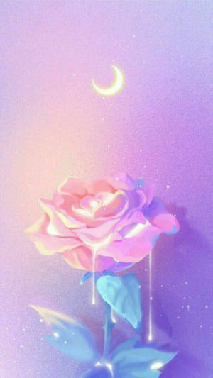 Smeltende rose blød æstetik wallpaper — Rose æstetik Wallpapers
