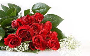 Smuk buket af røde roser — Rose Blomst Wallpapers