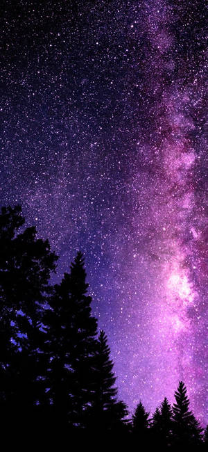 Smuk Galakse Trætoppe — Galaxy S25 FE Wallpapers