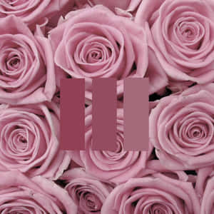 Æstetiske pink billeder — Æstetisk pink Wallpapers