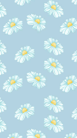 Smukke æstetiske margueritter tapet — Smuk æstetik Wallpapers
