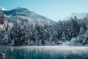 Sneæstetisk refleksion baggrundsbillede — Sne æstetik Wallpapers