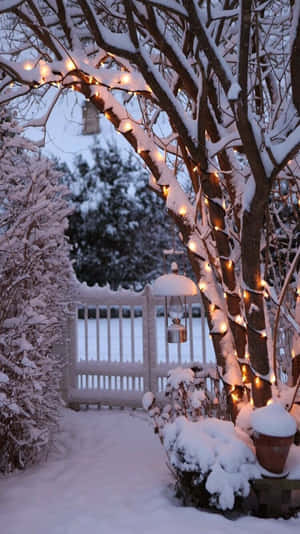 Hyggelig vinter Tumblr — Vinteræstetik Wallpapers