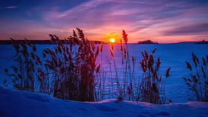 Snøæstetisk solopgang tapet — Sne æstetik Wallpapers