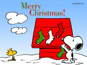 Snoopy julehus sokker baggrund