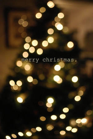 Sød æstetisk juletræssilhuet — Juletræ Wallpapers
