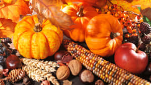 Sød baggrund til Thanksgiving — Sød Thanksgiving Wallpapers