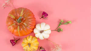 Sød baggrund til Thanksgiving — Sød Thanksgiving Wallpapers