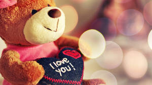Sød kærligheds bamse — Sød kærlighed Wallpapers