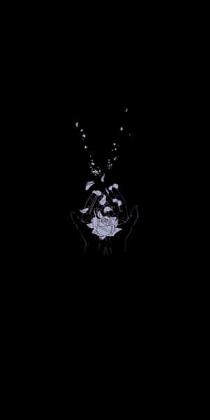 Sød sort baggrund — Sød sort Wallpapers