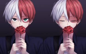 Wallpaper med sød Todoroki, der holder en rød rose