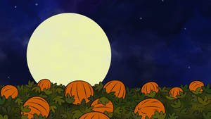 Søde æstetiske Halloween-græskar og måne