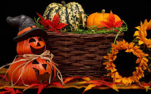 Søde æstetiske Halloween-græskar og blomster — Sød æstetisk halloween Wallpapers