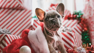 Søde æstetiske julebilleder — Æstetisk jul Wallpapers