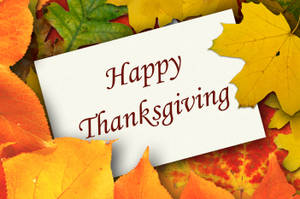 Søde efterårsblade — Sød Thanksgiving Wallpapers