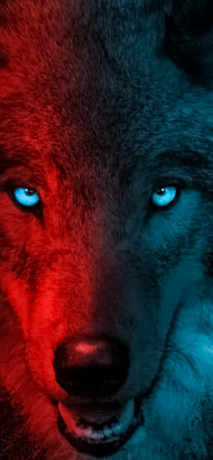 Animals Iphone — Xiaomi 15S Pro Wallpapers