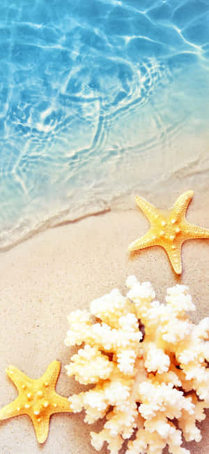 Iphone X Sommerbaggrund — iPhone 14 Pro Wallpapers