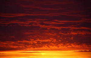 Baggrund med solnedgang og mørk orange himmel — Solnedgangshimmel Wallpapers