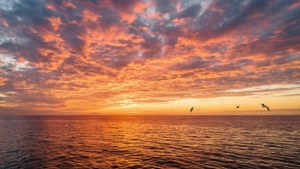 En fantastisk solnedgang over havet med levende farver og refleksioner. — Himmeludsigt Wallpapers