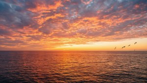 En fantastisk solnedgang over havet med levende farver og refleksioner. — Himmeludsigt Wallpapers