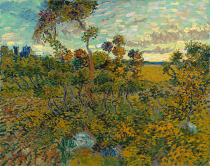 Solnedgang over Montmajour Van Gogh Museum