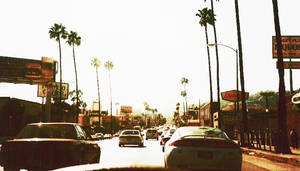 Sunset Boulevard Blændende Sol tapet